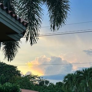 Bare Minimale Cabbage Patch Bikini Set